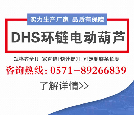 江蘇環(huán)鏈電動(dòng)葫蘆剎車(chē)原理分析